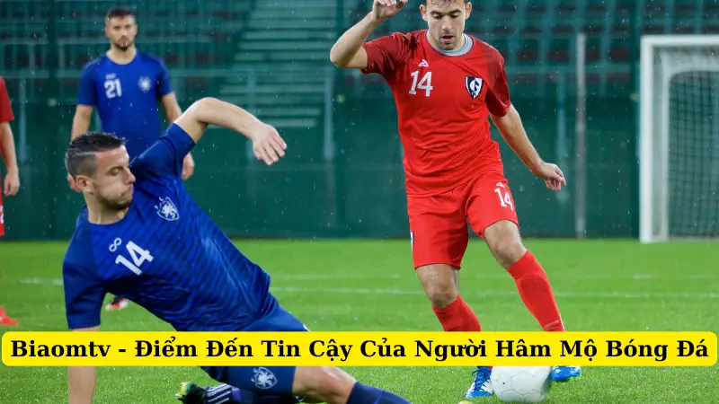 Biaomtv - Điểm Đến Tin Cậy Của Người Hâm Mộ Bóng Đá
