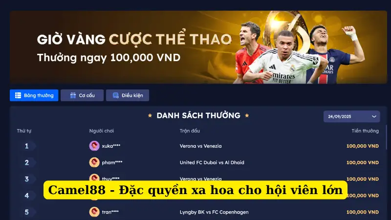 Camel88 - Đặc quyền xa hoa cho hội viên lớn
