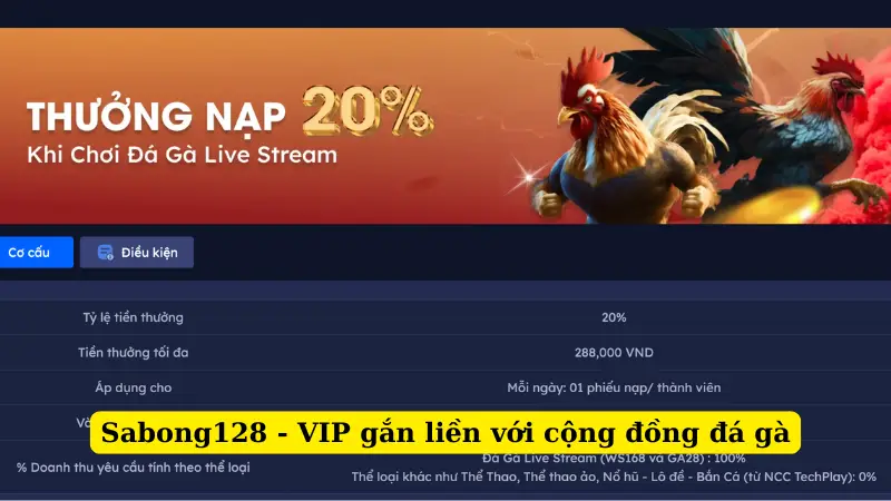 Sabong128 - VIP gắn liền với cộng đồng đá gà