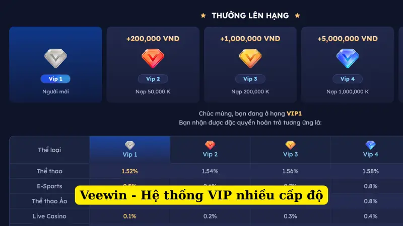 Veewin - Hệ thống VIP nhiều cấp độ